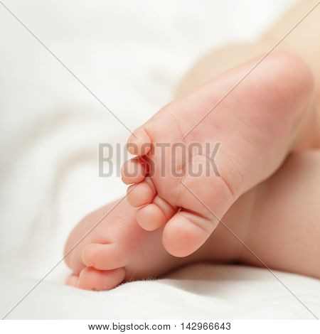 Newborn baby - feet macro white bckground