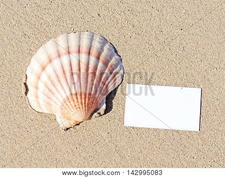 Beach with blank greeting card or business card. Beach background with copy space.