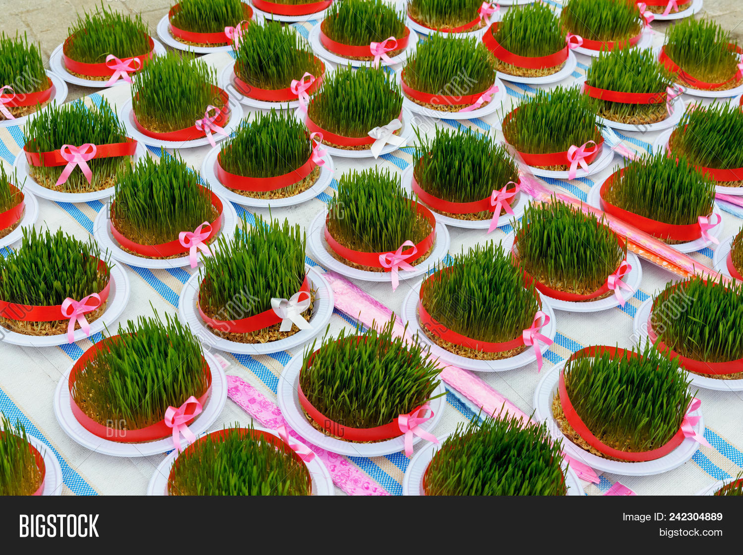 Greenery Sabze Haft- Image & Photo (Free Trial) | Bigstock