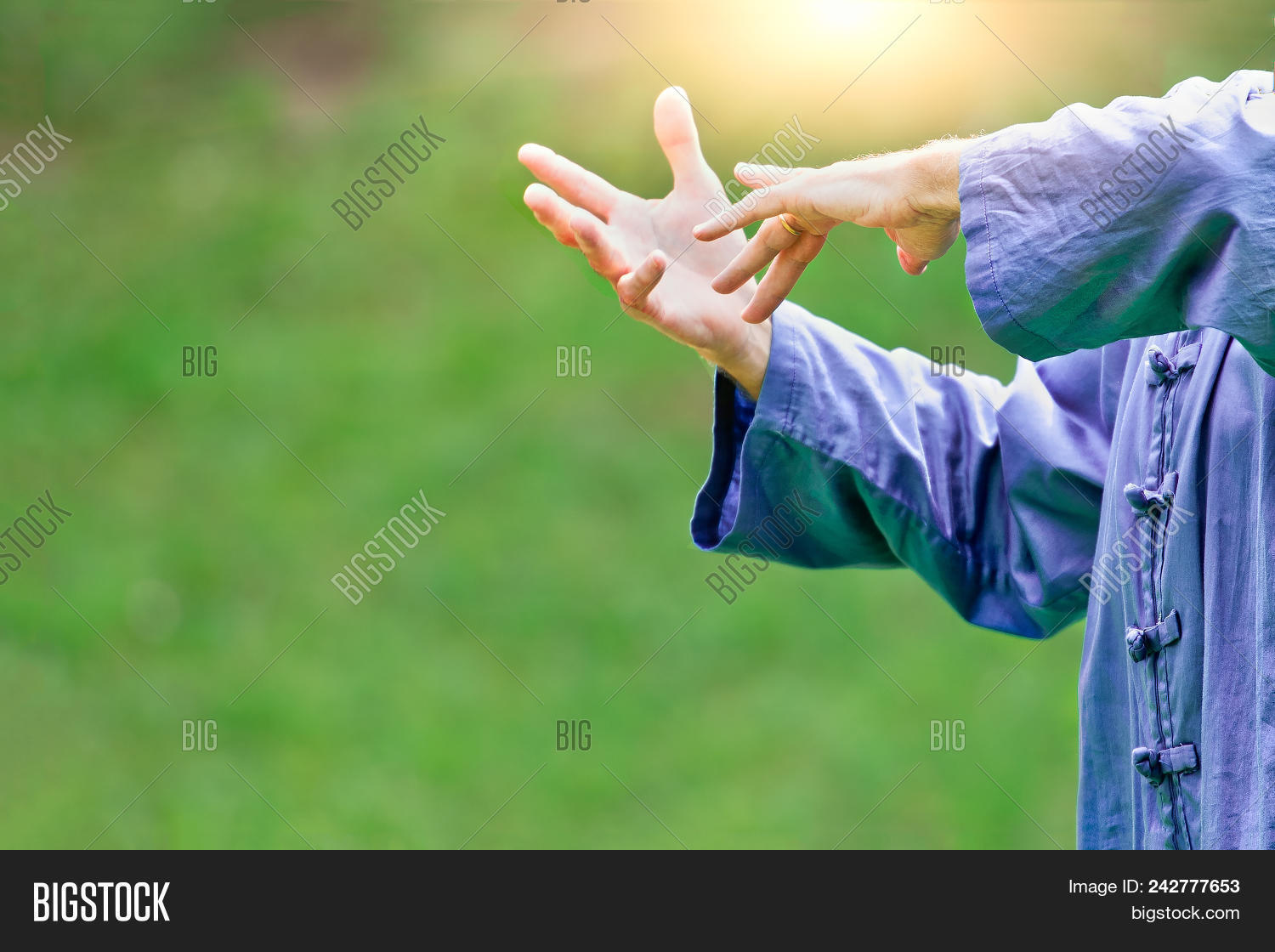 Tai Chi Chuan Chinese Image Photo Free Trial Bigstock