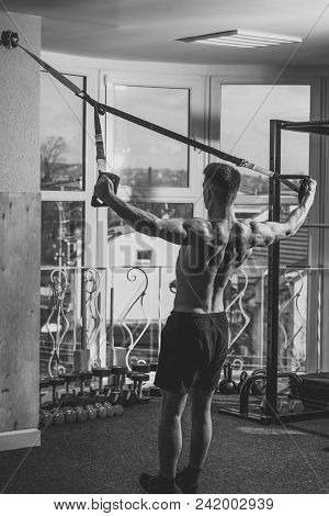 Man With Nude Torso, And Muscular Back In Gym Enjoy Training, Trx. Sport And Gym Concept. Man With T