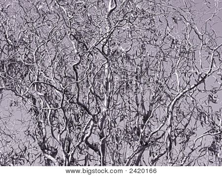 Golvende Tree