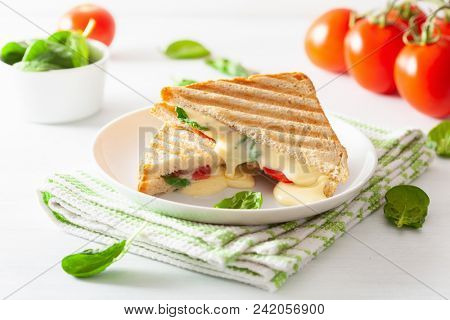 grilled cheese and tomato sandwich on white background
