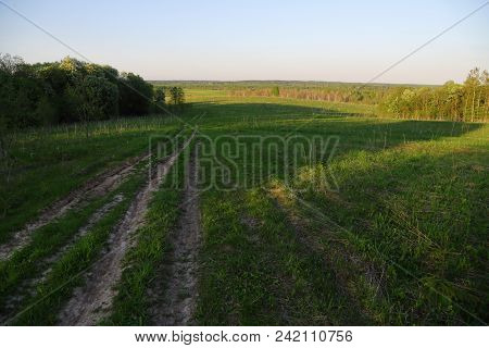 Field With Forest And Hills On The Horizon.