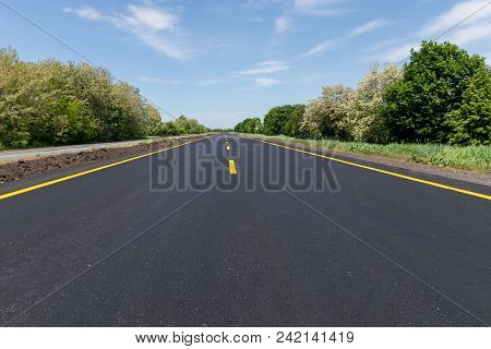 New Empty Road With Green Trees On Sides
