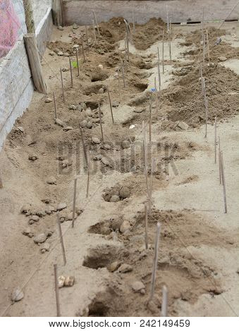 Turtle hatchery in the Peruvian Rainforest. The baby turtles will be released into a protected area in a repopulation effort.