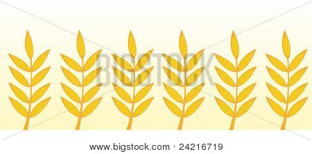 Gold yksivuotisille kasveille
