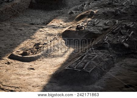 Old Bone And Skull At Graveyard On Nature.