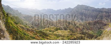 Looking Point Down Over A Vertiginous Ridge. Rocky Banks Covered In Ferns, Mosses And Agave Bushes.