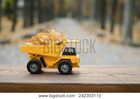 The Concept Of Seasonal Harvesting Of Autumn Fallen Leaves Is Depicted In The Form Of A Toy Yellow T