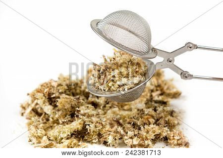 Dried Mullein Leaf Tea In An Infuser Isolated On A White Background