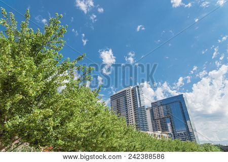City Park Tree Canopy And Modern Building Background