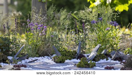 Blossom With Stones And Flowers Use Of Building Debris In Landscape Design.