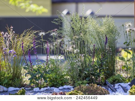 Blossom With Stones And Flowers Use Of Building Debris In Landscape Design.