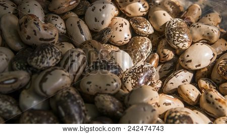 Close Up Brown Beans Background And As A Texture. Healthy Vegetarian Dietary Food Rich In Microeleme