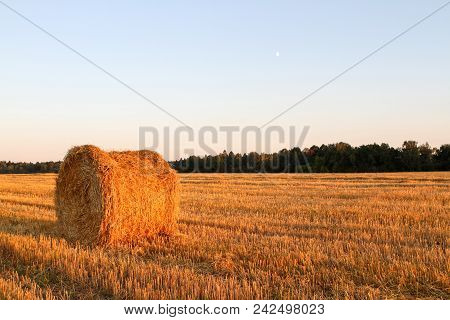 Haystack Harvest Field Landscape. Haystack Agriculture Field Landscape. Agriculture Field Haystacks