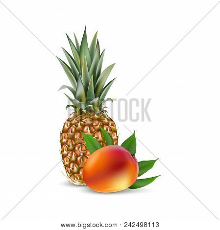 Mango Pinele Vector Photo Free Trial Stock Mango And Pinele Realistic Vector Eps 10 Packaging Template Brand Advertising