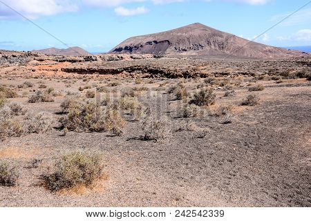 Spanish View Landscape In Lanzarote Tropical Volcanic Canary Islands Spain