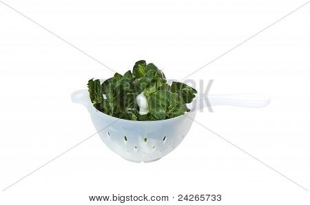 신선한 야채