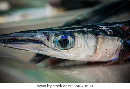Occhio di pesce ago
