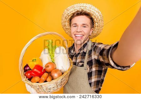 Onion Pepper Cabbage Carrot Lattice Salad Ingredients Recipe Modern Technology Internet Roaming Vide