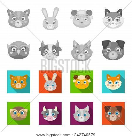 Owl, Cow, Wolf, Dog. Animal Muzzle Set Collection Icons In Monochrome, Flat Style Vector Symbol Stoc