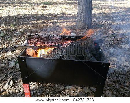 Firewood Lit In The Barbecue Fire In The Forest For Barbecue