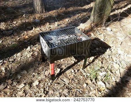 Firewood Lit In The Barbecue Fire In The Forest For Barbecue