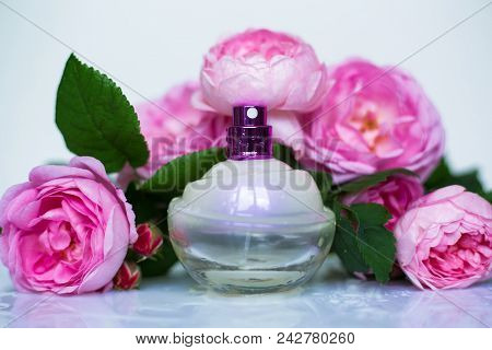 Perfume Bottle In Pink Flower Roses. Spring Background With Luxury Aroma Parfume. Beauty Cosmetic Fr