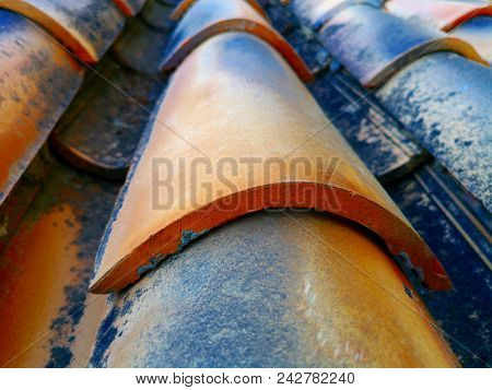 Tiles Placed On A Roof, Summer, Arquitecture