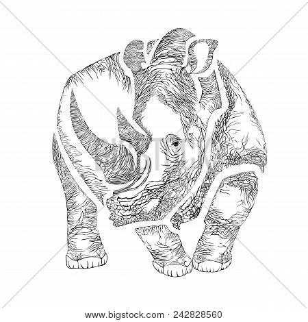 Vector Image Of A Rhino In The Graphic Style