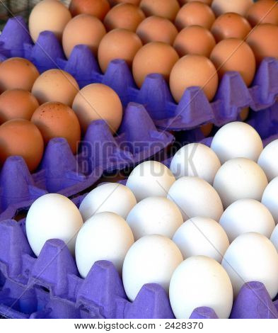 Æg