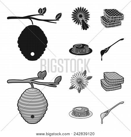 A Hive On A Branch, A Bee On A Flower, A Honeycomb With Honey, A Honey Cake.apiary Set Collection Ic