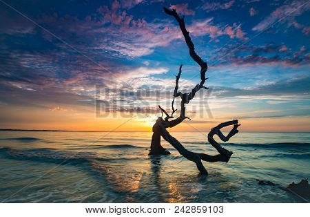 Golden Pyramid: Sunrise With Driftwood Entrenched In Sand On The Beach