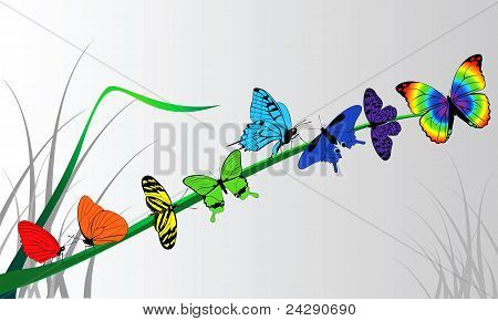 Farverige Butterflies.eps