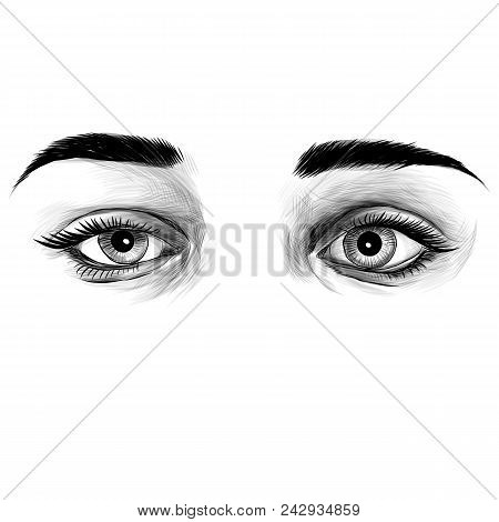 Women's Eyes Sketch Vector Graphic