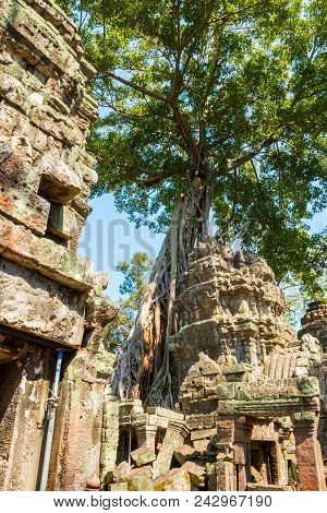 Atient Old Ta Phrom Temple In Angkor Wat In Cambodia