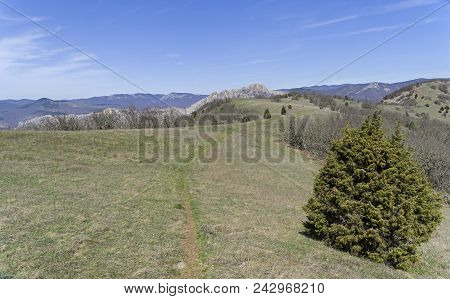 The Path Leading Along The Top Of The Tokluk-syrt Mountain Ridge. Crimea, Spring, Early April. Sunny