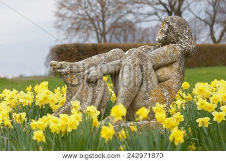 Stone Statue Of A Naked Woman With A Towel And Lots Of Daffodil Flowers In The City Borgholm On The 