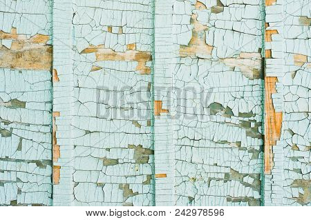 A Large Textured Background. Exfoliating Blue Paint In Large Pieces Missing On The Wooden Coating. T