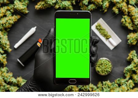 Grinder A Lot Ofx Marijuana, Fresh Buds Of Cannabis Many Weed. Copy Spase Copy-space