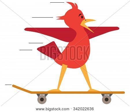 A Red Flat Vector Cartoon Bird Is Taking A Ride On A Skateboard