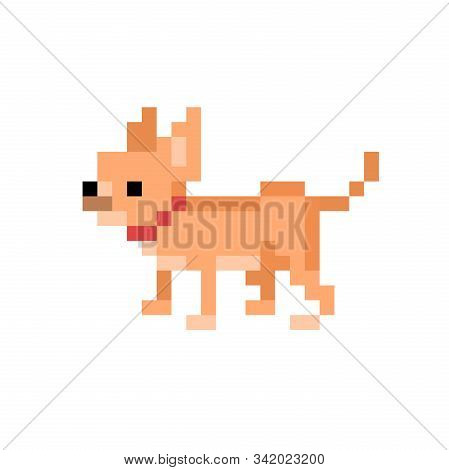Pixel Art Cream Chihuahua Icon Isolated On White Background. 8 Bit Toy Dog Symbol. Cute Puppy Charac