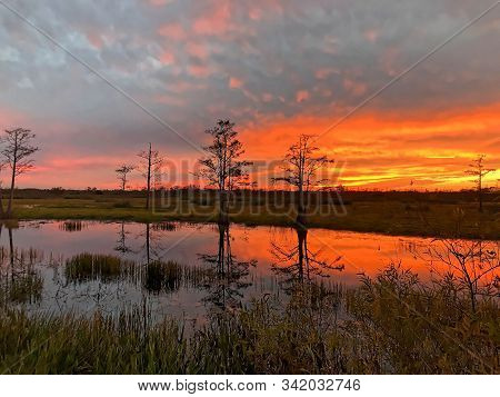 Silhouette Of Cypress Trees And Bayou During Sunset In The Swamp