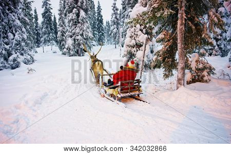 Winter Reindeer Sled Racing In Ruka In Lapland In Finland Reflex