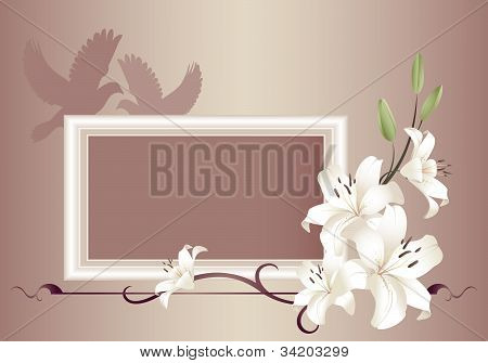 Lily ramki