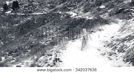 Teig Enjoying The Snow Covered Cottonwood Trail On North Table Mountain. So Many Good Trails In And 