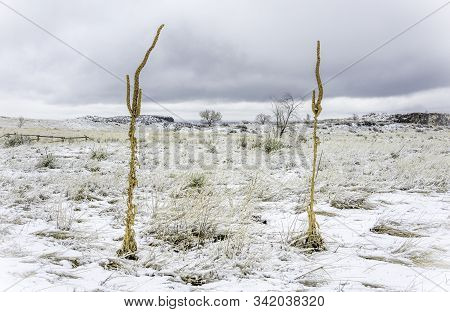 Winter Snow On South Table Mountain Outside Of Golden Colorado.