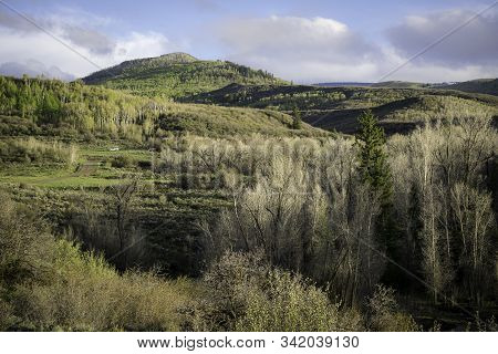 Forest Covered Mountainside In The Colorado Rocky Mountains.