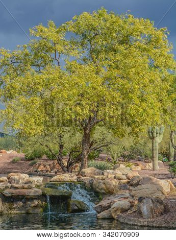 Water Fall At Anthem In The Sonoran Desert, Maricopa County, Arizona Usa